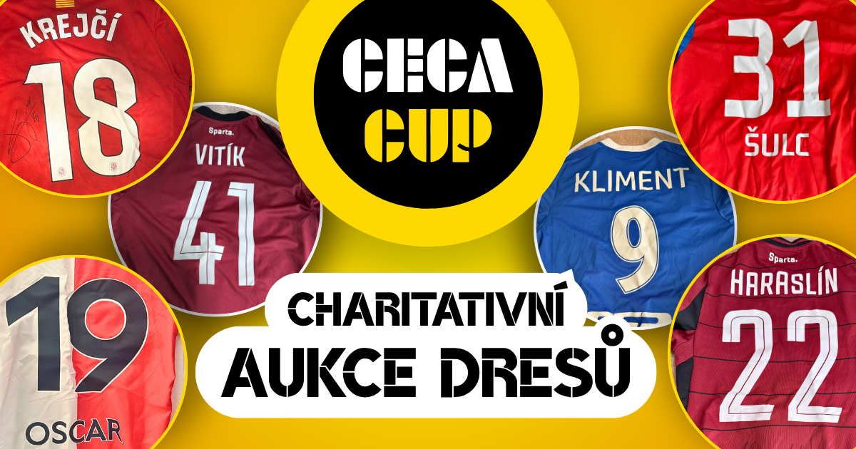 Krejčí, Haraslín, Šulc, Oscar a další - charitativní aukce podepsaných dresů photo