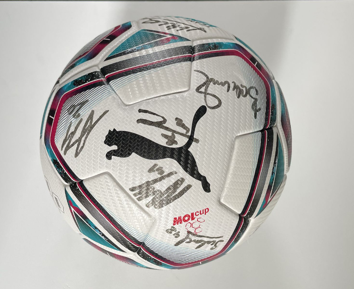 Charitativní aukce podepsaných míčů z finále MOL Cupu 2022 photo